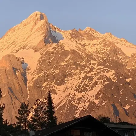 Apartment Fluehbluemli Eigerview Grindelwald